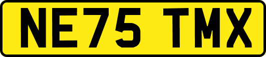 NE75TMX