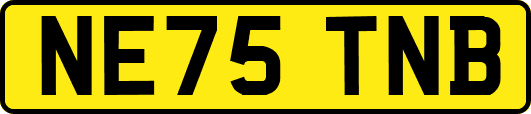 NE75TNB