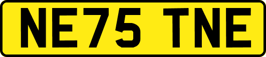 NE75TNE
