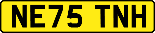 NE75TNH
