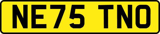 NE75TNO