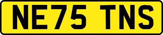 NE75TNS