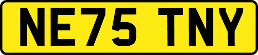 NE75TNY