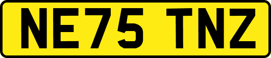 NE75TNZ