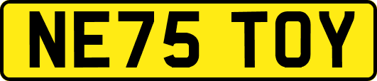 NE75TOY