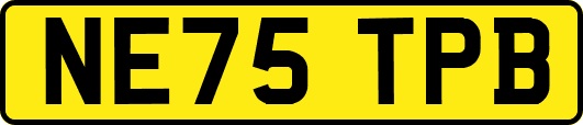 NE75TPB