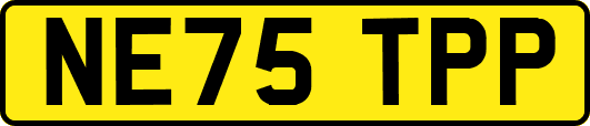 NE75TPP