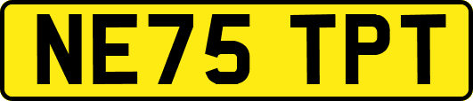 NE75TPT