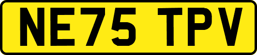 NE75TPV