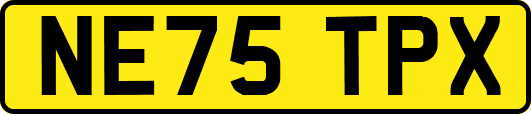 NE75TPX