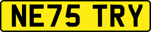 NE75TRY