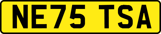 NE75TSA