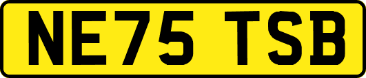 NE75TSB