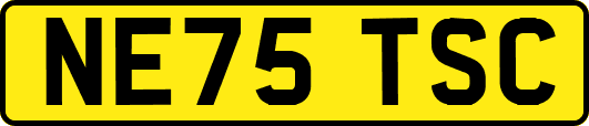 NE75TSC