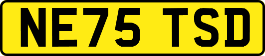 NE75TSD
