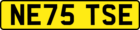 NE75TSE