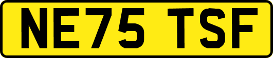 NE75TSF
