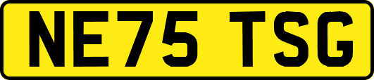 NE75TSG