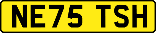 NE75TSH