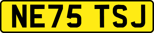 NE75TSJ