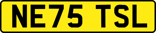 NE75TSL