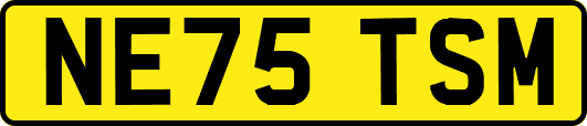 NE75TSM