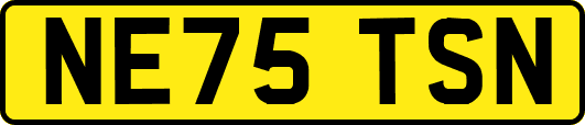 NE75TSN