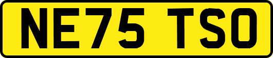 NE75TSO