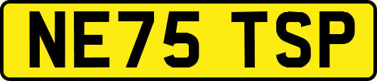 NE75TSP