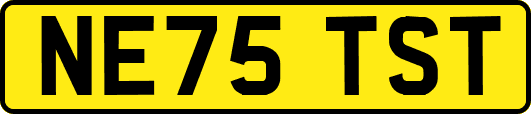 NE75TST