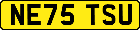 NE75TSU