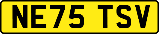NE75TSV