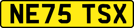 NE75TSX