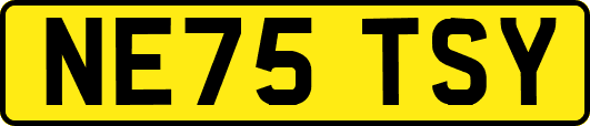 NE75TSY