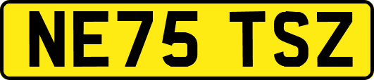 NE75TSZ