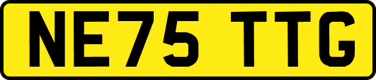 NE75TTG