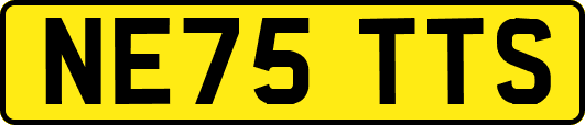 NE75TTS