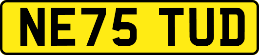 NE75TUD
