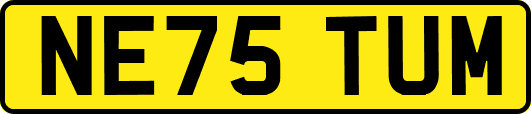 NE75TUM
