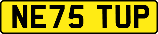 NE75TUP