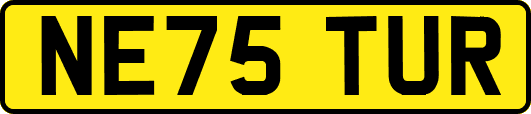 NE75TUR