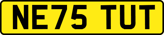 NE75TUT