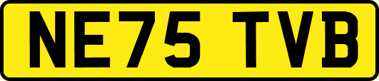 NE75TVB