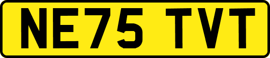 NE75TVT