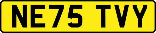 NE75TVY