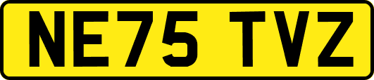 NE75TVZ