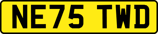 NE75TWD