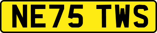 NE75TWS