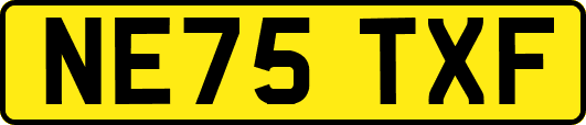 NE75TXF