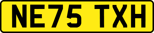 NE75TXH